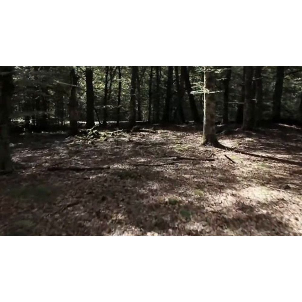 Варочная панель Asko HID824GC