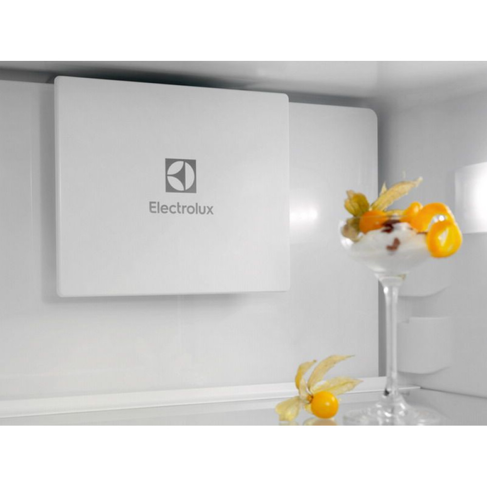 Холодильник Electrolux ENT6MD19S3