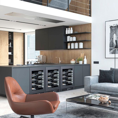 Холодильник винный Temptech CPROX60SRB-24